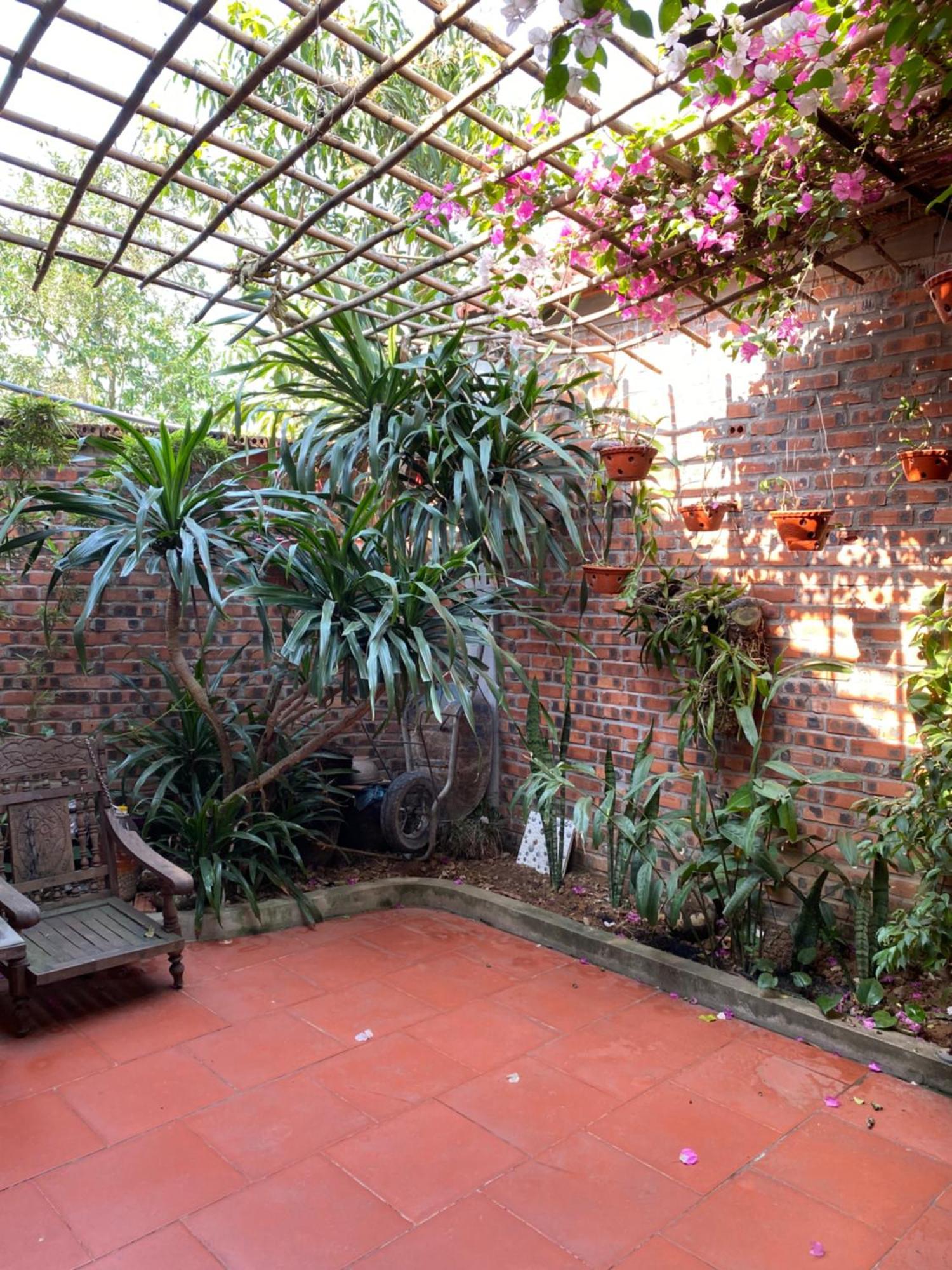 Tam Coc Charming Bungalow Ninh Binh Eksteriør billede
