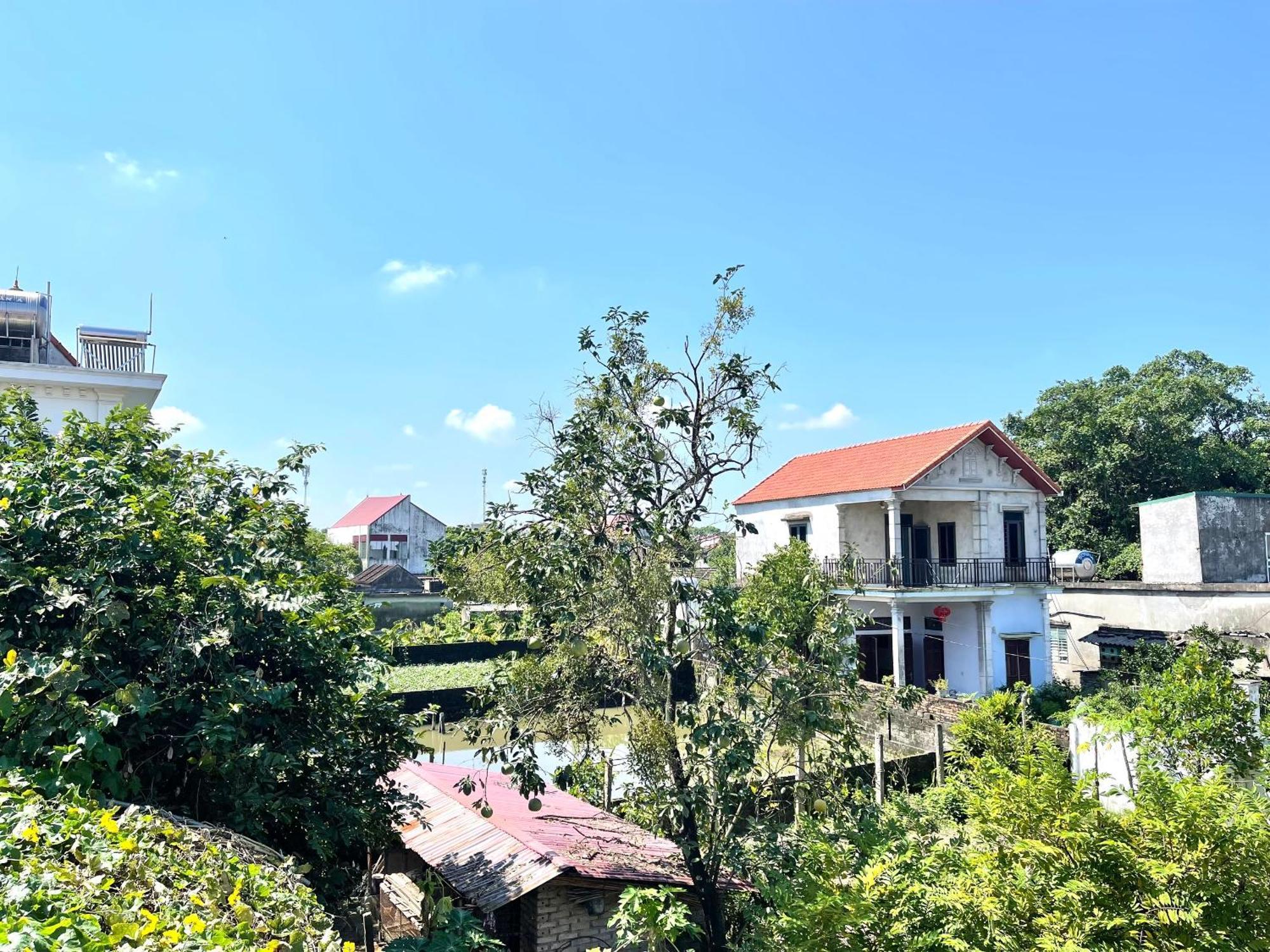 Tam Coc Charming Bungalow Bed and Breakfast Ninh Binh Eksteriør billede